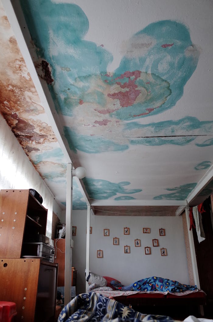 about-01 An old bedroom featuring unique ceiling art with peeling paint and vintage furnishings.